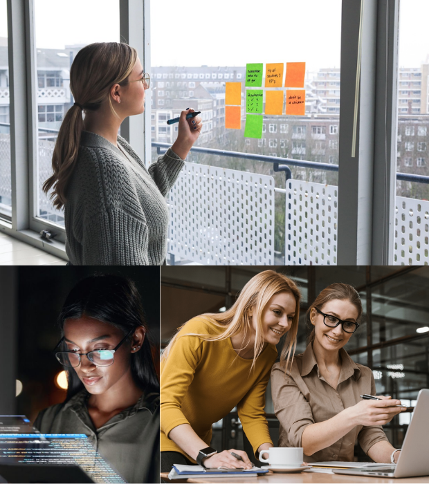 Alopna Software IT Services